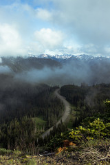 mountain fog road