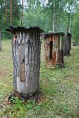 Fototapeta premium Honey apiary in the Bashkir reserve Shulgan-Tash.