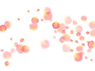 Rose gold petals flying cosmetics vector background.