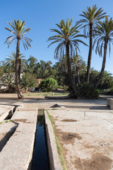 Oase Ain Lahjar, Essaouira, Marokko