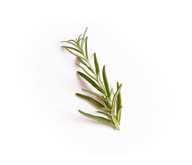 Fototapeta premium Fresh rosemary isolated on white background
