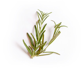 Fresh rosemary isolated on white background