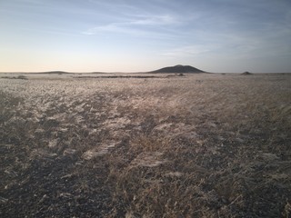 View of the savannah