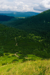 View of vertex.Carpathian mountains in the midle of summmer.