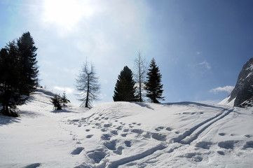 Fototapeta na wymiar Trentino, escursione sotto la neve
