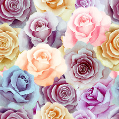  Seamless pattern of multicolored roses, background. Hand drawn watercolor.