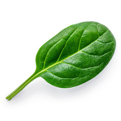 Spinach  isolated on white background. Fresh green baby spinach leaf. Top view. Flat lay.