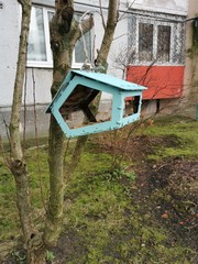 Bird feeder in the form of a blue house on a tree branch near a multi-storey building.