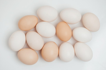 Group of Eggs isolated on white background. Lot of Organic Egg ready of cut-out. Eggs, the nutrition food from organic farm.