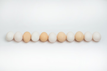 Set of Realistic Dark and Light Brown Whole Chicken.  Copy space for text. Organic eggs isolated. Group of Egg line up in close up