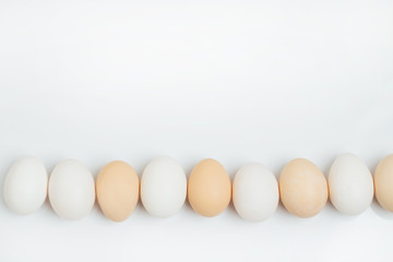 Eggs isolated on white background. Copy space for text. Organic eggs isolated. Group of Egg line up in close up,Egg isolated on white background