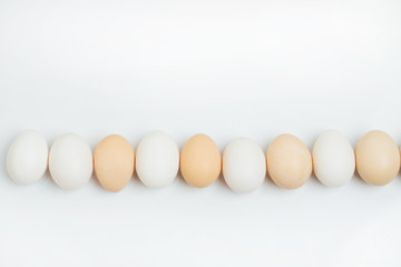 Eggs isolated on white background. Copy space for text. Organic eggs isolated. Group of Egg line up in close up,Egg isolated on white background