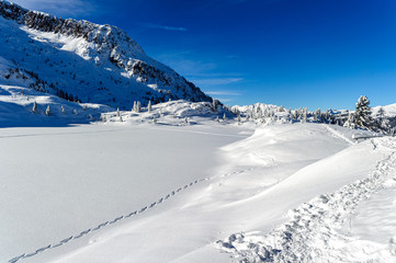 Fototapeta na wymiar Trentino, paesaggio innevato