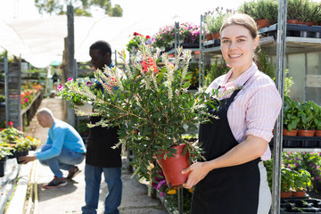 Florist woman working in greenhouse