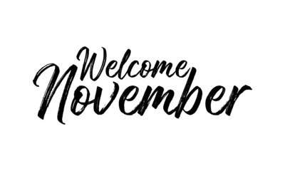 Fototapeta premium Welcome November Inspirational lettering black color, isolated on white background. Vector illustration for posters, banners, flyers, stickers, cards and more. Vector illustration. EPS10.