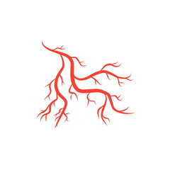 humans arteries and veins