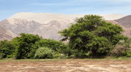 Cerro Blanco sand dune near Nasca panoramic view