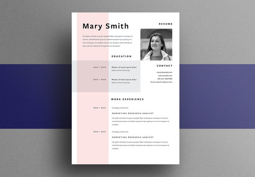 Resume Layout with Light Pink Sidebar Element