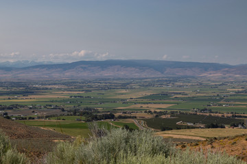 Obraz premium golden rural fields