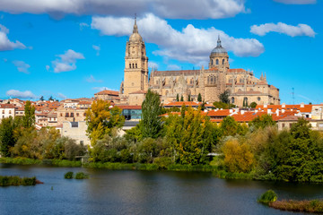 Catedral Nueva de Salamanca