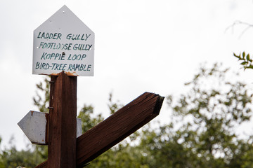wooden sign in the forest