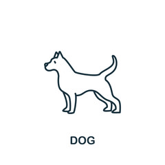 Dog icon from home animals collection. Simple line element Dog symbol for templates, web design and infographics