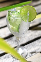 gin tonic