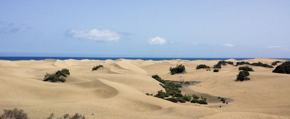 dunas de arena