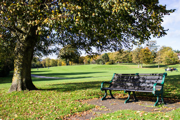 banco en el parque oto&ntilde;al