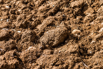 Dried soil from drought