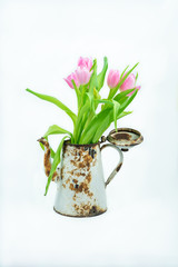 Bouquet of pink tulips in the vase of a rusty coffee maker.
