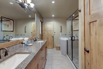 Natural tones large luxury condo or home bathroom interior.