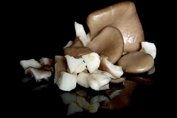 Oyster mushroom on black background