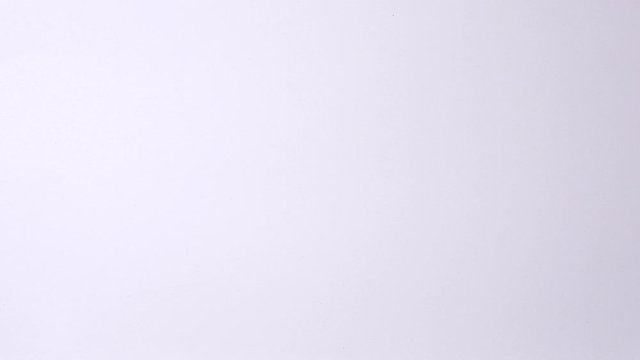 Female Redback Spider Walking Over A White Background, DIRECTLY ABOVE