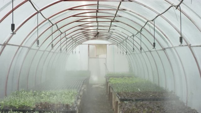 working irrigation system in a greenhouse in full forse