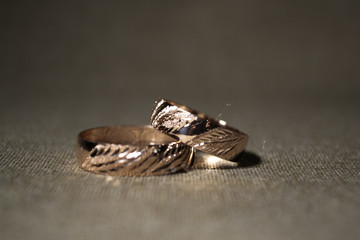 retrato de anillos de compromiso 