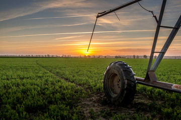 Sunset in the farm with watering machine in the green fields - Golega, Portugal