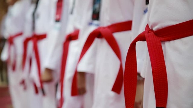 Red belt of a long line of taekwondo practitioners