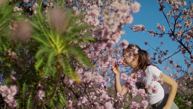 Walking through the spring forest, Pink Sakura flower, Cherry blossom Young girl sniffs and Enjoys Almond blossomin Teide National Park Spring blossom Sakura Flowers, Breathe Aroma. Tenerife, Shot URS