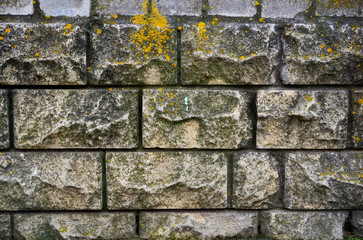 brick wall texture