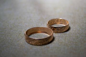 retrato de anillos de compromiso 