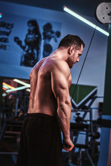 Fototapeta na wymiar Shirtless athlete doing excersise on triceps with hand pull machine in a modern gym, view for the back