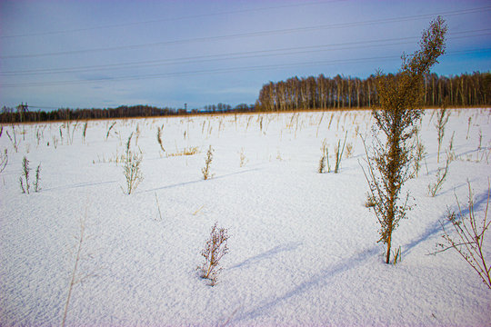  Spring dield