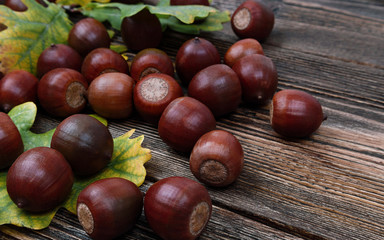 Autumn composition with acorns and yellow oak leaves on brown textured wood. Close up. Selective focus.