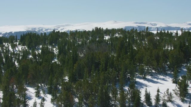 The snowcapped peaks, steep cliffs and dense forests of the Absaroka mountain Range near Yellowstone National Park