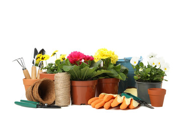 Primroses, pansies and gardening tools isolated on white background