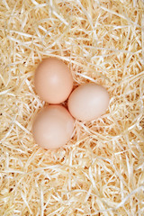 Three eggs in the nest view from the top, vertical photo