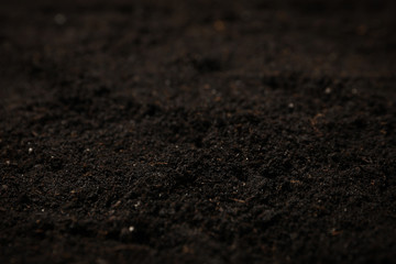Fertile soil texture background. Agriculture and gardening