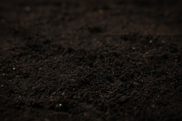 Fertile soil texture background. Agriculture and gardening