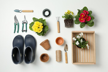 Fototapeta na wymiar Composition with gardening tools and accessories on white background, top view